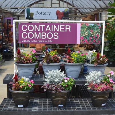 Pottery and more to help decorate your home and patio.