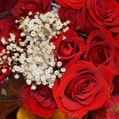 Florist & Gift Shop