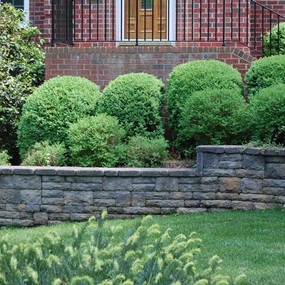 Landscaping Services